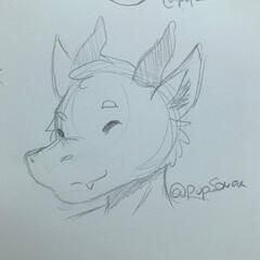 Headshot Sketch from Pupsonar